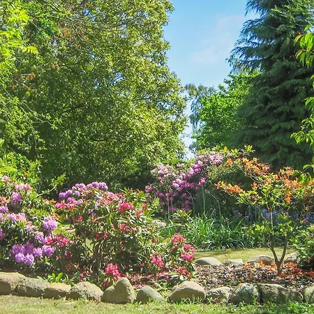 Tatil Evi 5 Bedroom Cozy In *